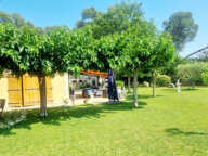 Draguignan villa F6 197m2 piscine garage terrasse 3800m terr — photo 3