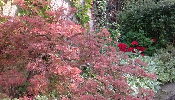 Villa / Maison 10 pièces  à vendre Reims 51100