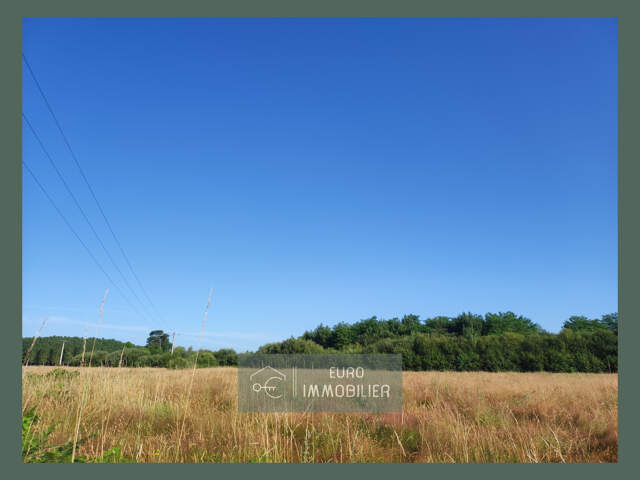 Terrain à bâtir  industriel et  professionnel-7120m2-BAZAS-G — photo du bien