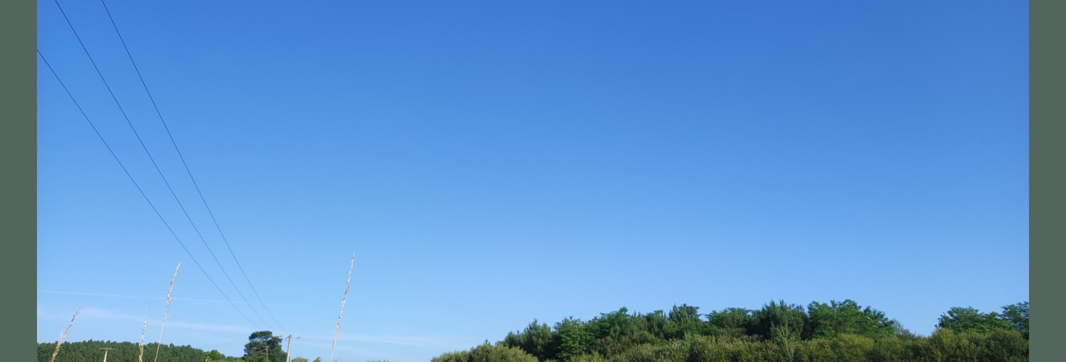 Terrain  7127 m² à vendre à Bazas (33430)