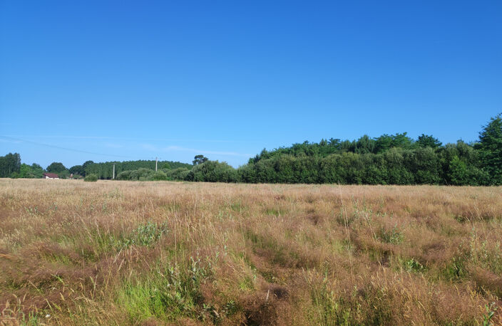 Terrain à bâtir  industriel et  professionnel-7120m2-BAZAS-G — photo 2