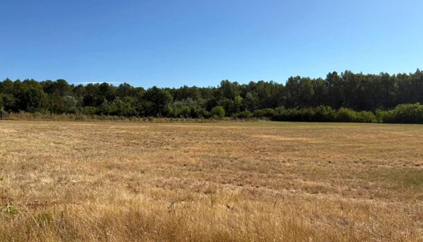 Terrain  à vendre Salernes 83690