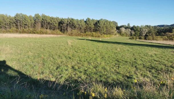 Terrain  à vendre Salernes 83690