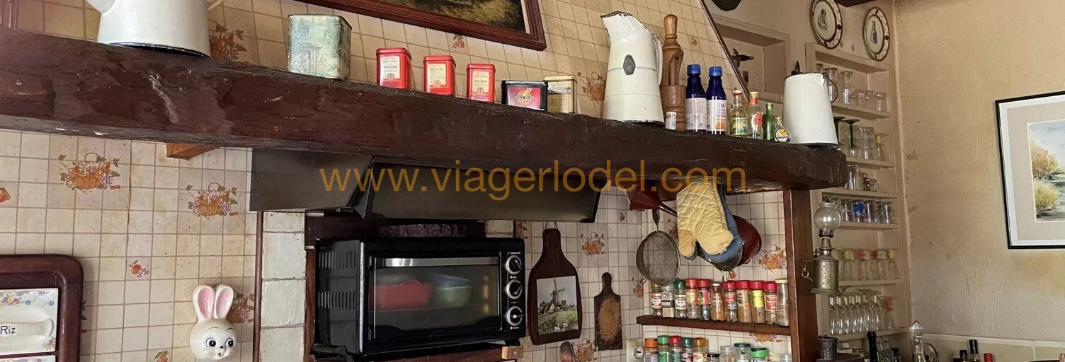 Maison 130 m² en viager Beaulieu-lès-Loches (37600)