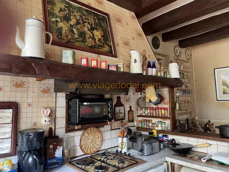 Réf. 9983 - VIAGER OCCUPE - BEAULIEU-LES-LOCHES (37) — photo 1