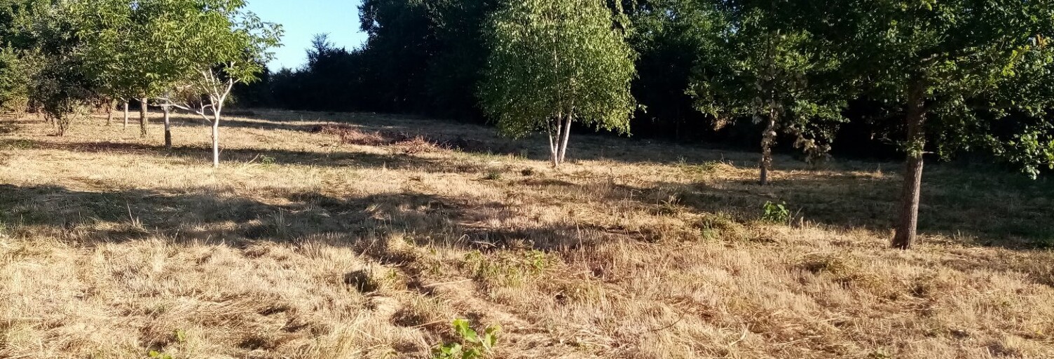 Terrain  2160 m² à vendre à Sanxay (86600)