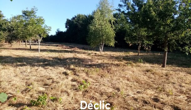 Terrain  à vendre Sanxay 86600