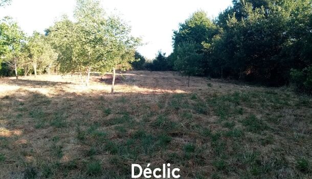 Terrain  à vendre Sanxay 86600