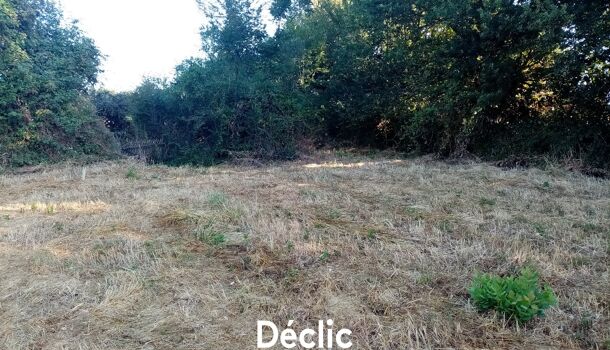 Terrain  à vendre Sanxay 86600