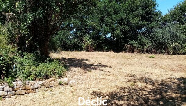 Terrain  à vendre Sanxay 86600