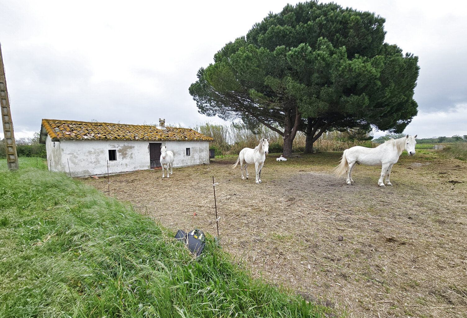 Mazet avec terres agricoles MONTCALM  VAUVERT — photo 1
