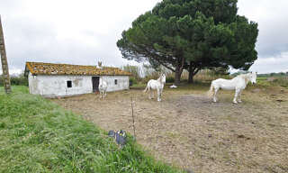 Maison 3 Pièces 50 m² à vendre à Vauvert (30600)