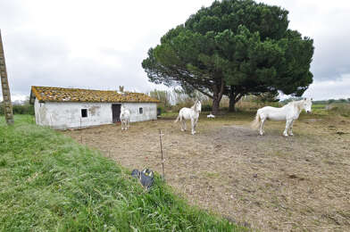 Maison 3 pièces 409000 €