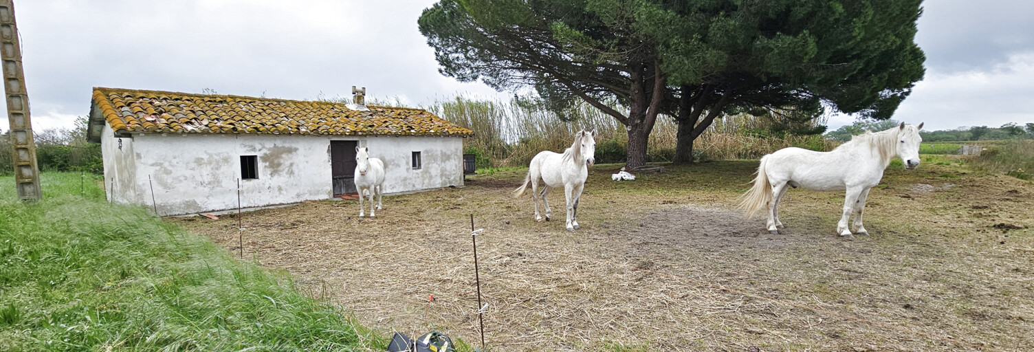 Maison 3 Pièces 50 m² à vendre à Vauvert (30600)