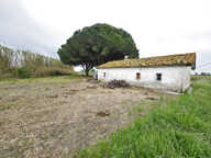 Mazet avec terres agricoles MONTCALM  VAUVERT — photo 2