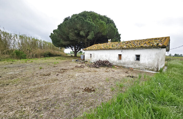 Mazet avec terres agricoles MONTCALM  VAUVERT — photo 2