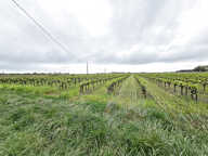 Mazet avec terres agricoles MONTCALM  VAUVERT — photo 3