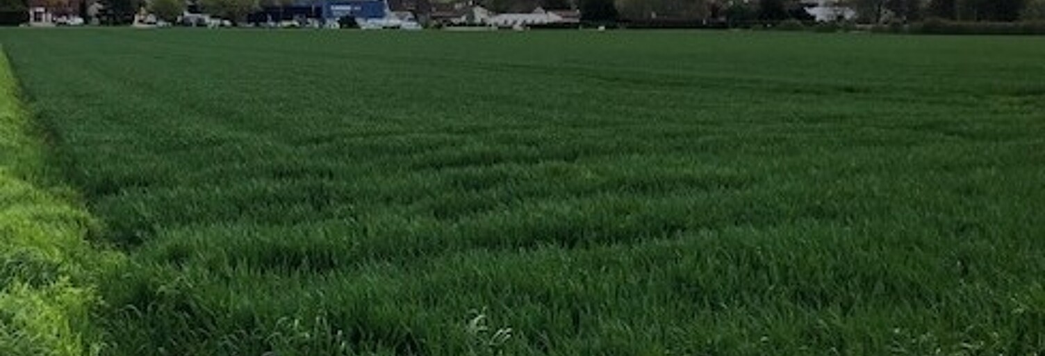 Terrain  3543 m² à vendre à Blancs-Coteaux (51130)