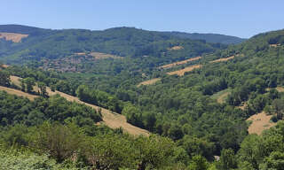 Terrain  1200 m² à vendre à Saint-Pierre-la-Palud (69210)