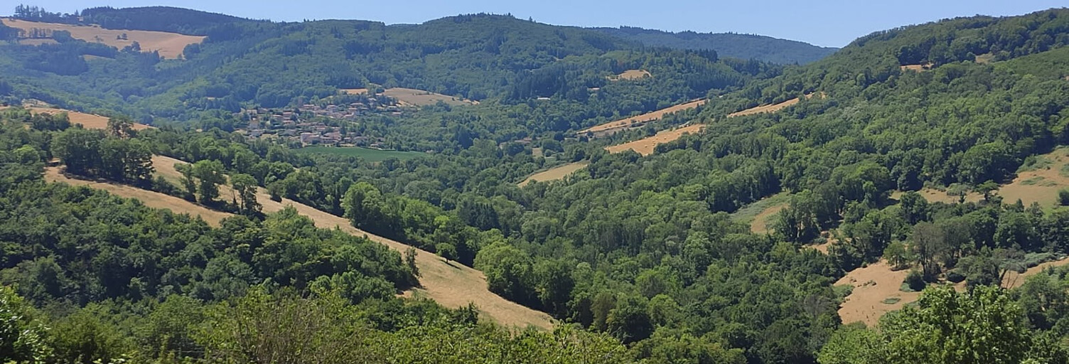 Terrain  1200 m² à vendre à Saint-Pierre-la-Palud (69210)