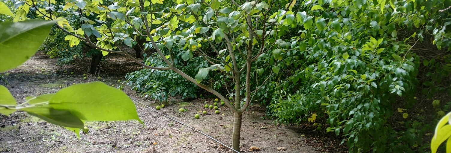 Terrain  16110 m² à vendre à Bezouce (30320)