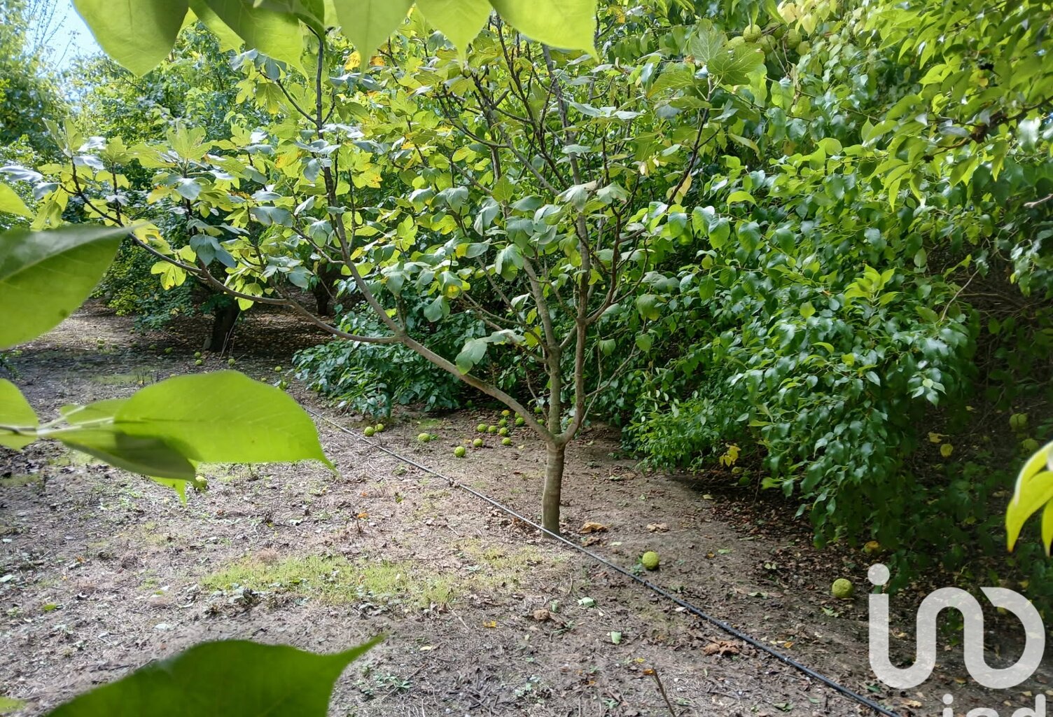 Vente Terrain agricole 16 110 m&sup2; — photo 1