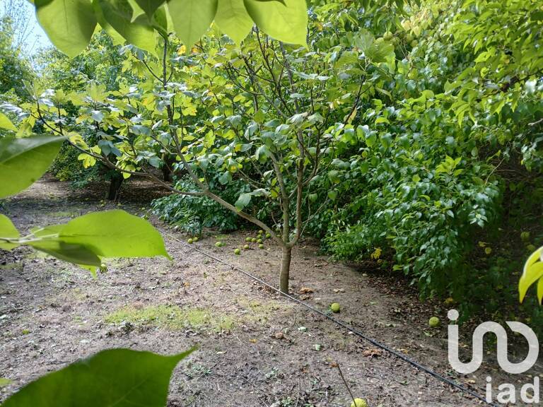 Vente Terrain agricole 16 110 m&sup2; — photo 1