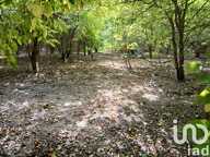 Vente Terrain agricole 16 110 m&sup2; — photo 2