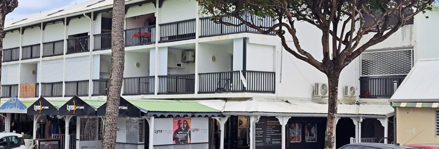 Appartement 1 Pièce 24 m² à vendre à Saint-François (97118)