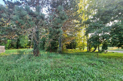 Terrain  49900 €