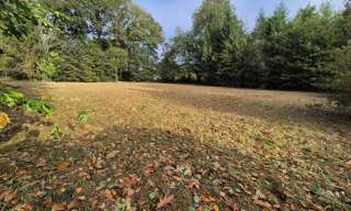 Terrain  2812 m² à vendre à Peyrilhac (87510)