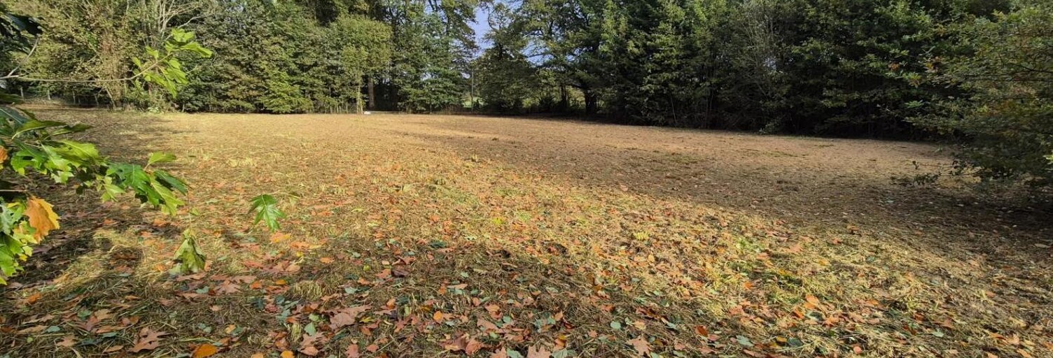 Terrain  2812 m² à vendre à Peyrilhac (87510)