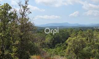 Terrain  8629 m² à vendre à Lecci (20137)