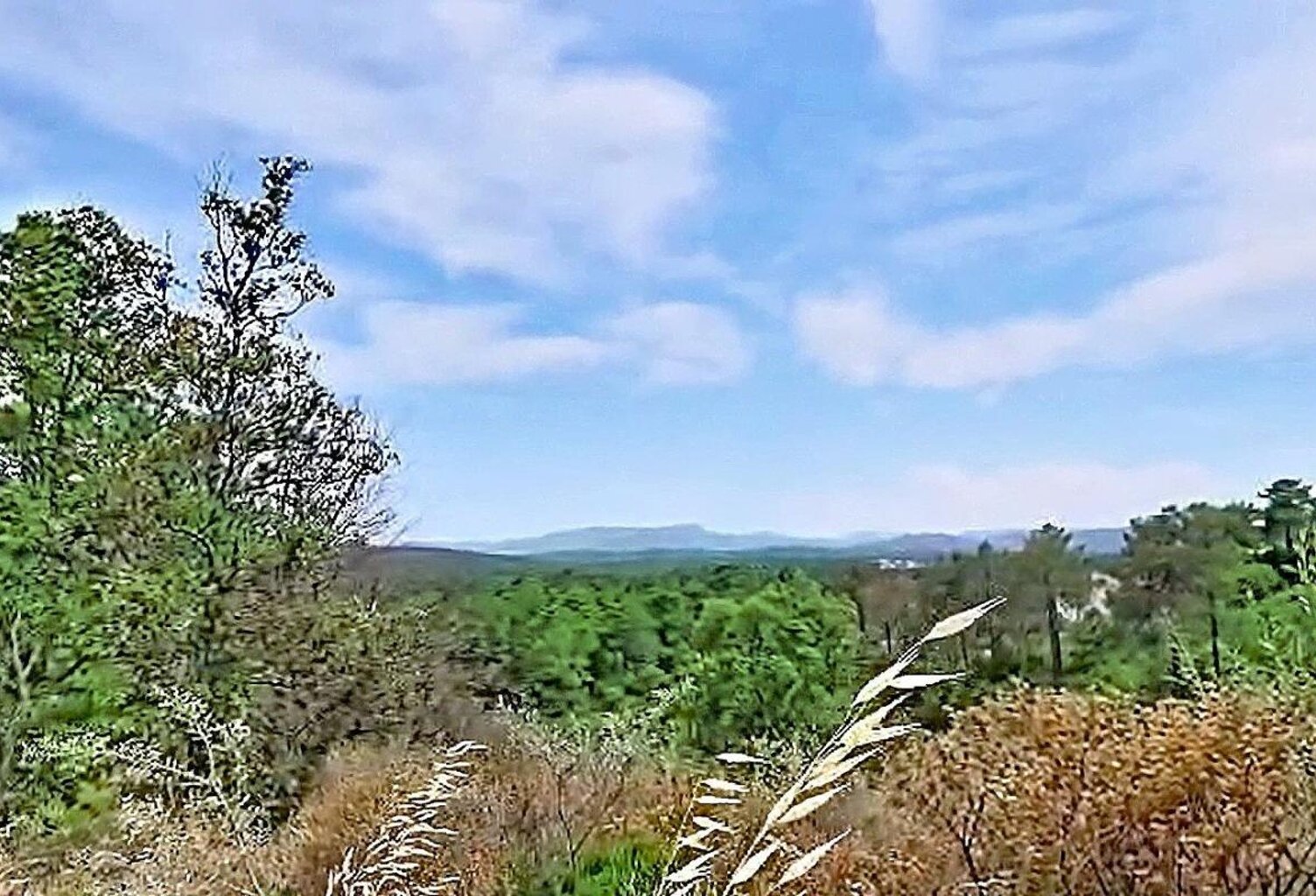 Terrain À Vendre avec permis de construire pour 11 villas en duplex — photo 1