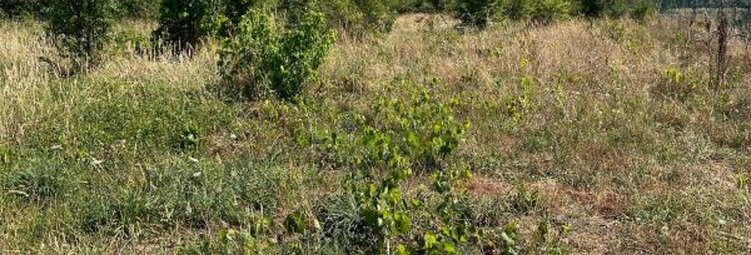 Terrain  1860 m² à vendre à Noé (31410)