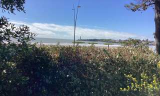 Maison 6 Pièces 105 m² à vendre à Saint-Georges-de-Didonne (17110)