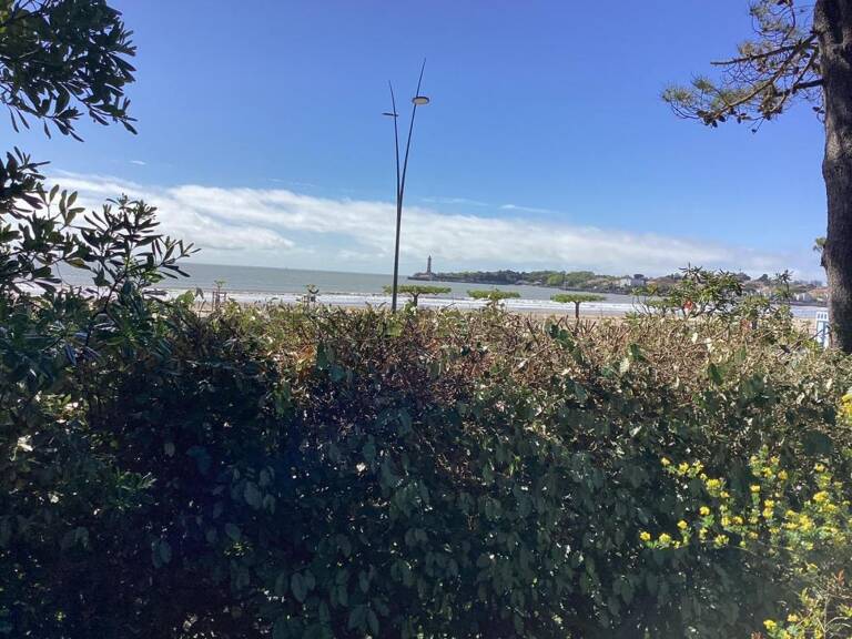 Maison VUE MER - Beau jardin arboré — photo 1