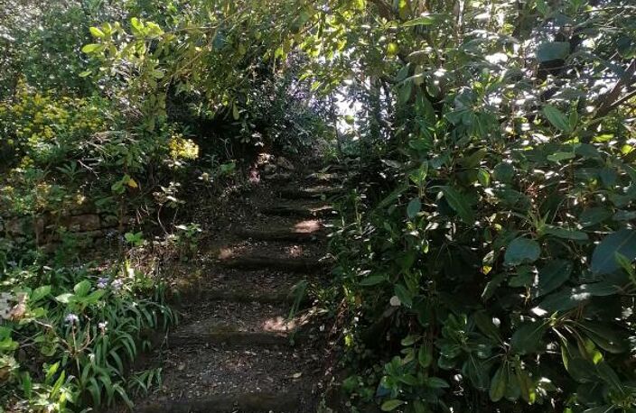 Maison VUE MER - Beau jardin arboré — photo 4
