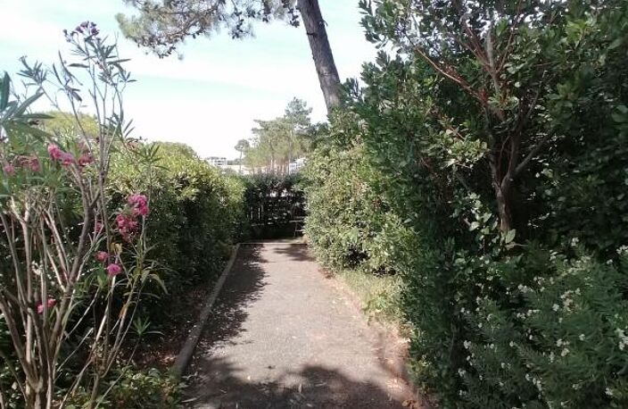 Maison VUE MER - Beau jardin arboré — photo 5