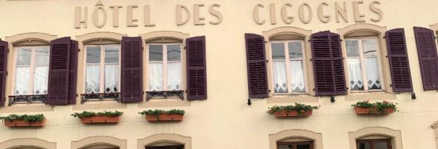 Maison 30 Pièces 2000 m² à vendre à Sarrebourg (57400)