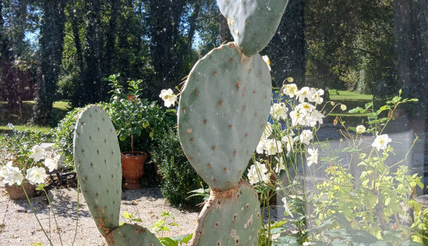 Villa / Maison 8 pièces  à vendre Saint-Sulpice-de-Royan 17200