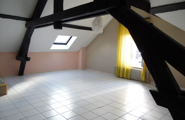 SAINT DIE DES VOSGES LOFT DE 122M2 — photo 4