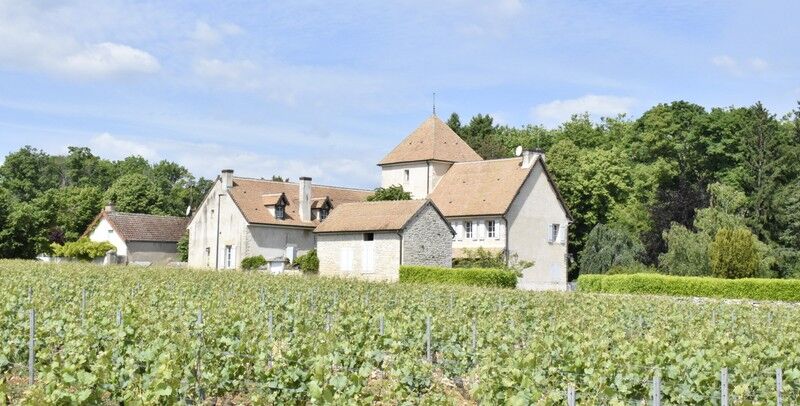 Villa / Maison  T11 à vendre Mercurey 71640