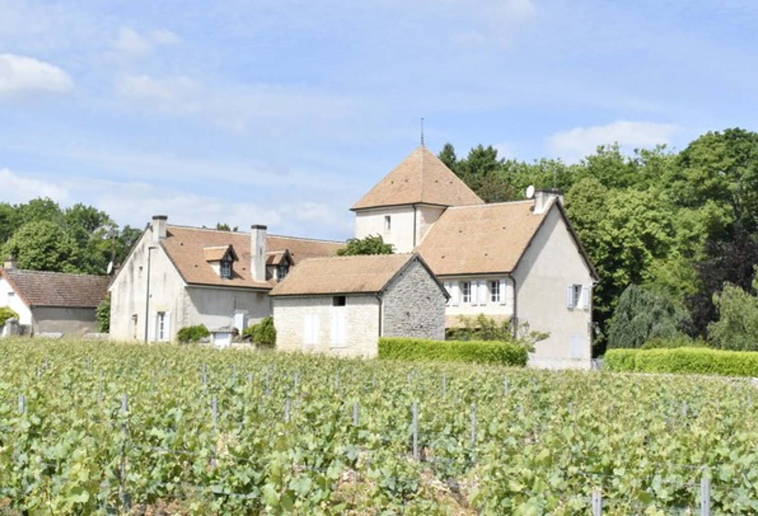 PROPRIÉTÉ DE CARACTÈRE EN CÔTE CHALONNAISE — photo 1