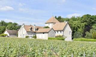 Maison 11 Pièces 360 m² à vendre à Mercurey (71640)