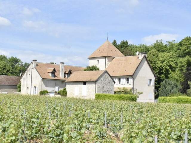 PROPRIÉTÉ DE CARACTÈRE EN CÔTE CHALONNAISE — photo du bien