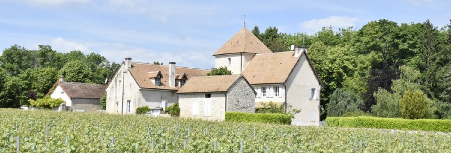 Maison 11 Pièces 360 m² à vendre à Mercurey (71640)