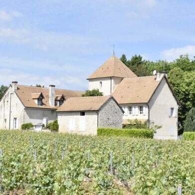 Maison 11 pièces 695000 €