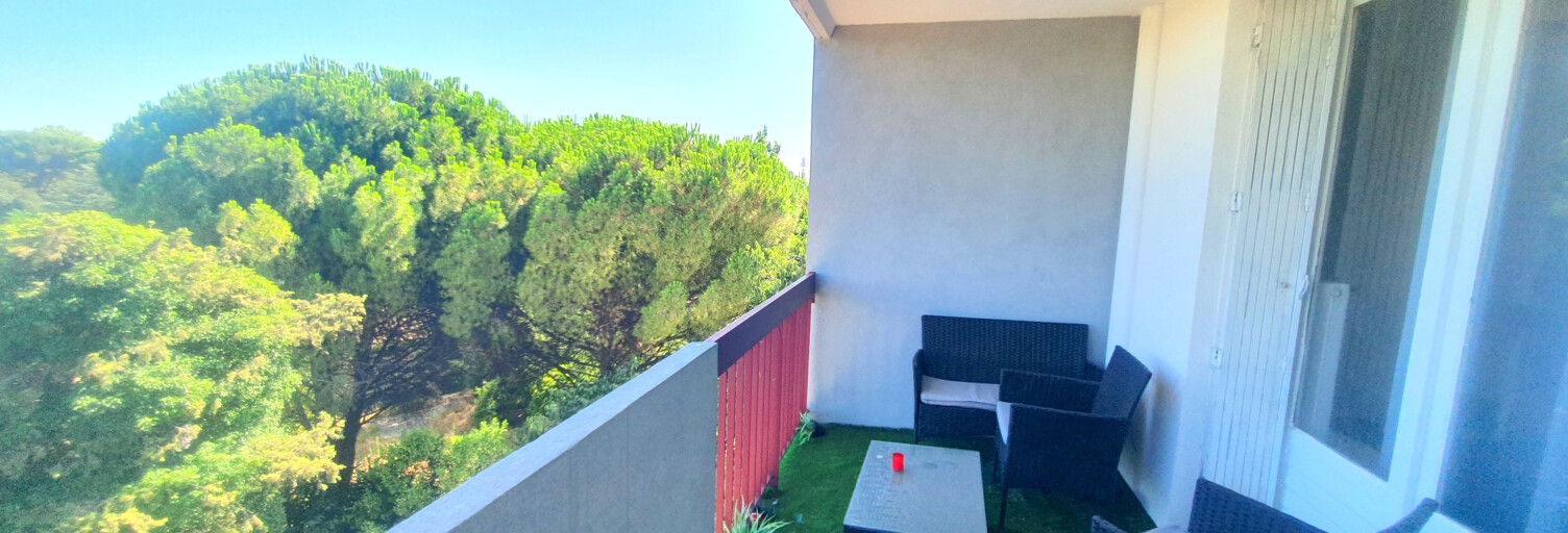 Appartement 1 Pièce 30 m² à vendre à Montpellier (34080)