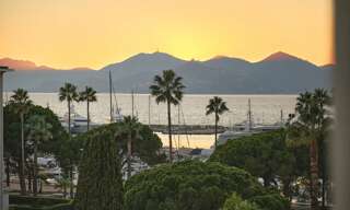 Appartement 2 Pièces 34 m² à vendre à Cannes (06400)